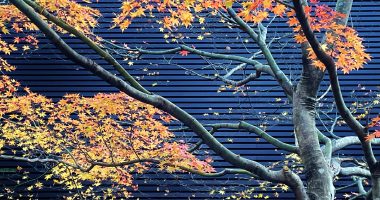 IMG_5179 (2)