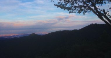 IMG_5246 (2)
