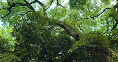 eniIMG_4946