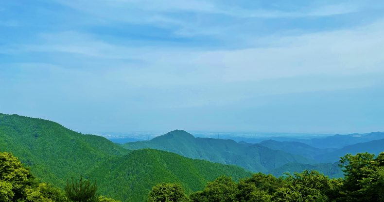 yamagomori002